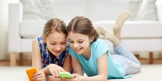 CLICK, AGREE, AND YOUR KIDS ARE BOUND- Court Compels Minor Children To Arbitrate Personal Data..
