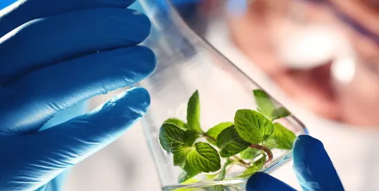 California DPR Announces Proposed New Rule to Regulate Pesticide-Treated Seeds