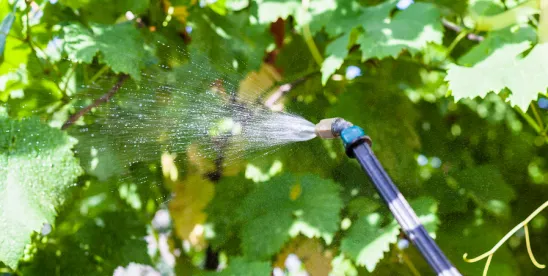 Roundup®, FIFRA, and Federal Uniformity: The Supreme Court Speaks