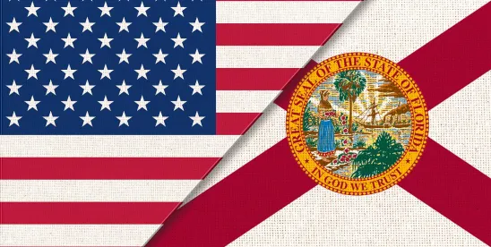 Florida Series LLCs Are Here: What Owners and Investors Should Know