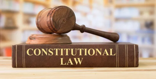 New Law Gives New York State Legislature the Ability to Write Ballot Language for Referenda on..