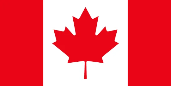 Green Card Options for Canadian TN Visa Holders