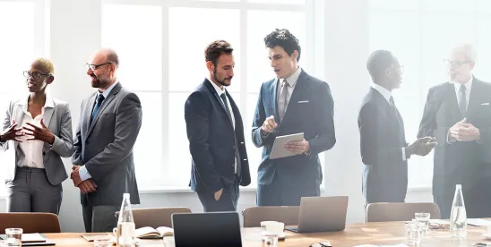 Board of Directors Basics
