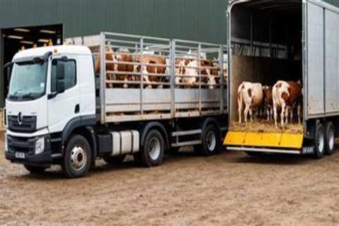 Navigating Transportation and Logistics in Livestock Marketing