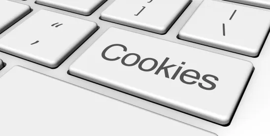 Embedded Tech, Real Privacy Risk: Courts Scrutinize Shopify Checkout Tools and NBA Tracking..