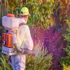 Landscape Engineering and Pest Control in Sheffield