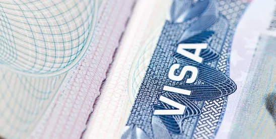 E-2 Employees of Treaty Investors: Eligibility and Visa Requirements