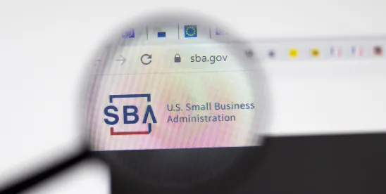SBA Proposes Major Changes to Small Business Methodology and Size Standards