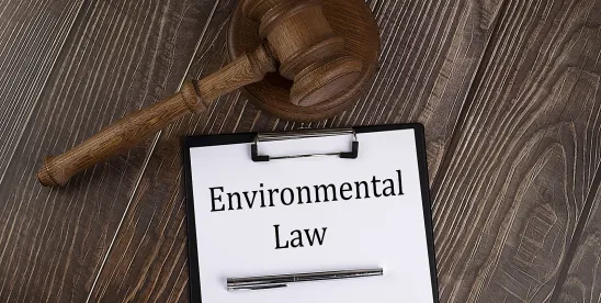 What We Are Reading: Environmental & Energy Series