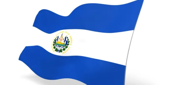 EB-2 NIW Green Card Case Study: Approval for Marketing Strategist from El Salvador