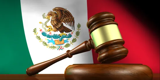 EB-2 NIW Case Study: Approval for an Aesthetic Surgeon from Mexico