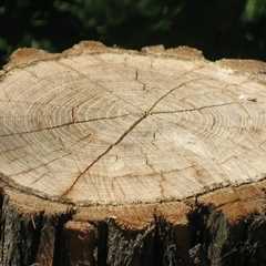 Landscape Engineering Principles That Support Better Tree Care in Columbia, MO