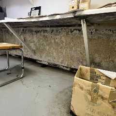 Junk Removal &amp; Property Cleanouts - All Island Mold Inspectors