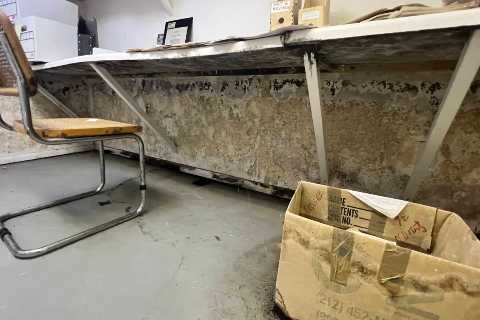 Junk Removal &amp; Property Cleanouts - All Island Mold Inspectors